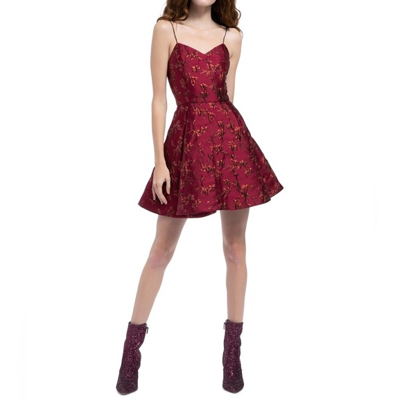 NWT Alice Olivia Anette Deep Pleat cocktail dress